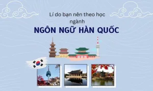 Ngôn ngữ hàn